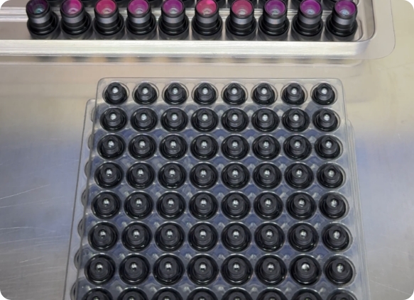 Mass Production & Delivery